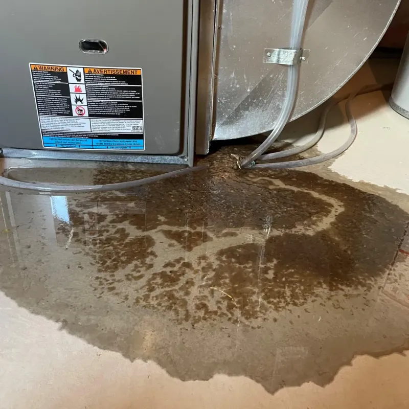 Appliance Leak Cleanup in North Springfield, VA